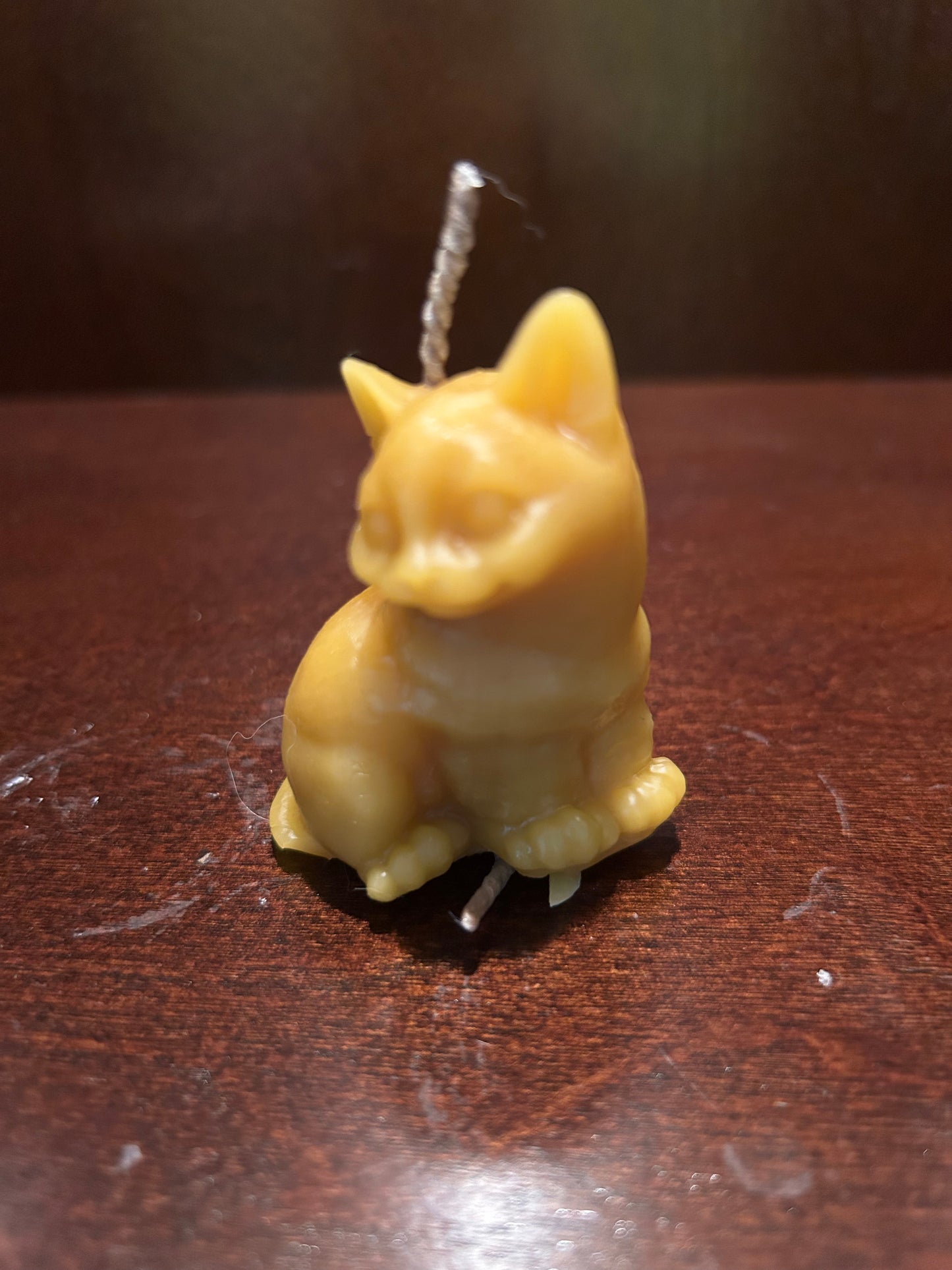 Sly cat 100% beeswax